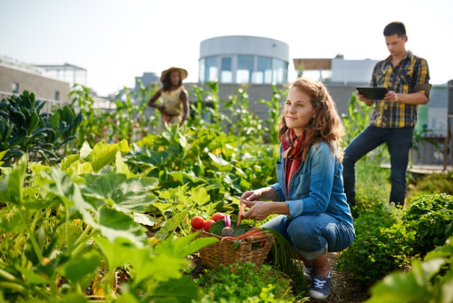 Sustainable farming methods