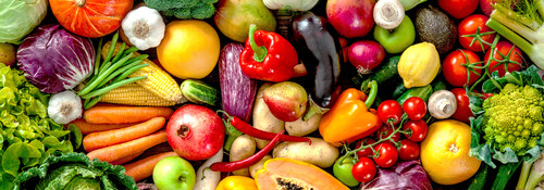 Sustainable agriculture field